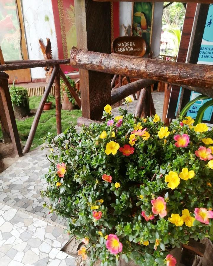 Madera Labrada Lodge Ecologico Tarapoto Ngoại thất bức ảnh