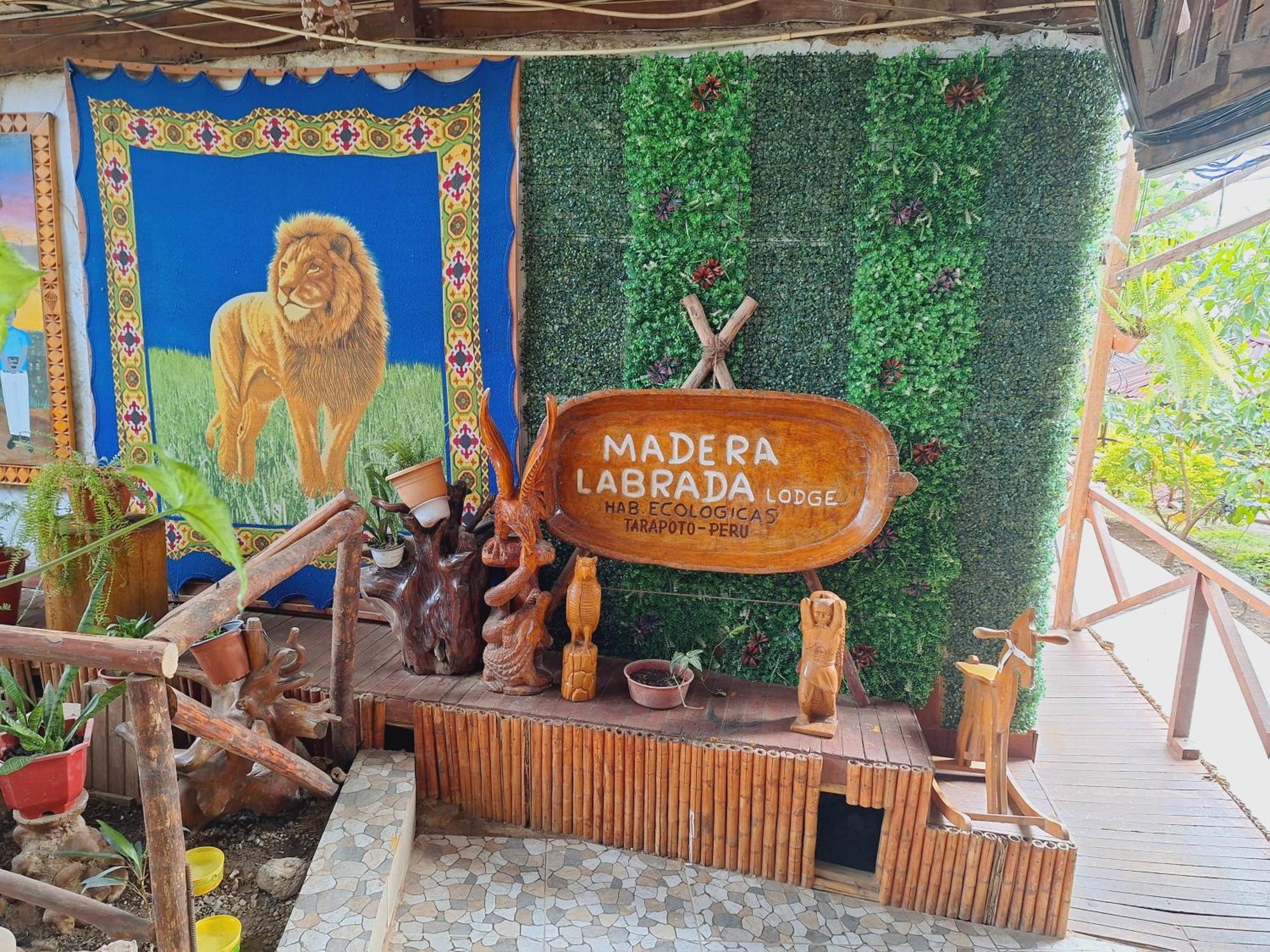 Madera Labrada Lodge Ecologico Tarapoto Ngoại thất bức ảnh